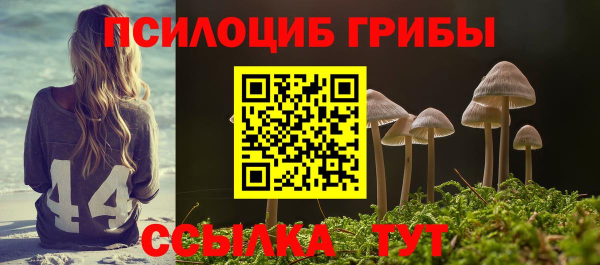 Галлюциногенные грибы GOLDEN TEACHER  Вход с VPN  Сибай 